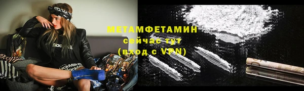 шишки Бородино