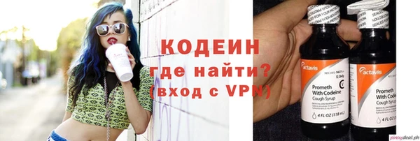 шишки Бородино