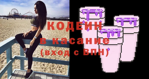 шишки Бородино