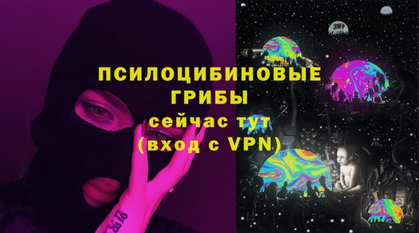 шишки Бородино